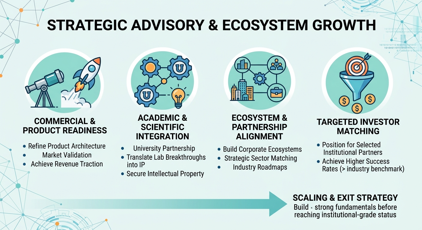 Strategic Advisory Beyond Traditional Venture Capital for Scale-Ups and Research Spin-Outs Portugal